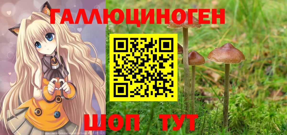 Псилоцибиновые грибы Psilocybe Ростов Великий